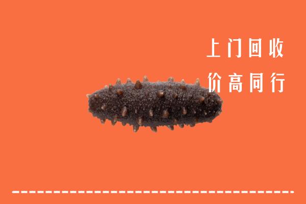 高价求购：晋江市回收海参